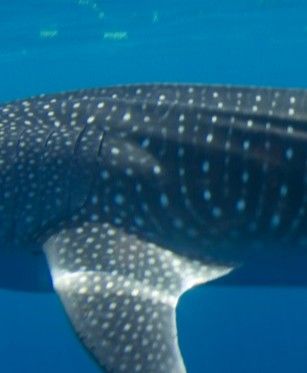 bbabdc22-8ca5-4143-9f13-2cf76514d167