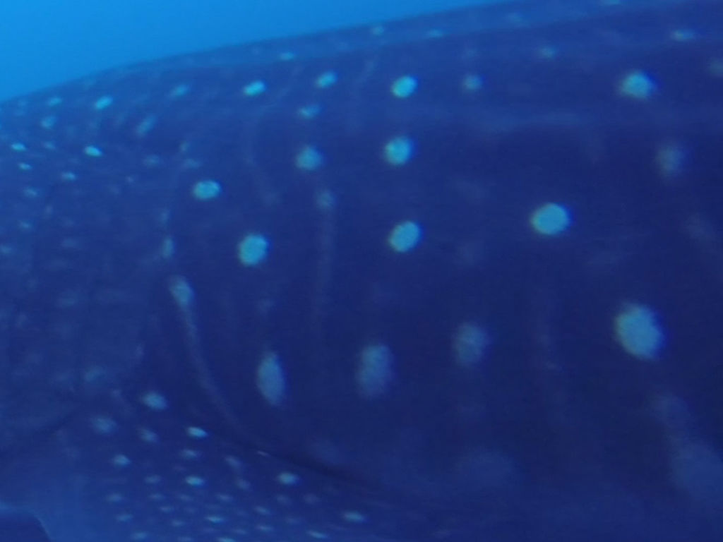 ad0da76b-9903-4471-8934-58ed34d38929