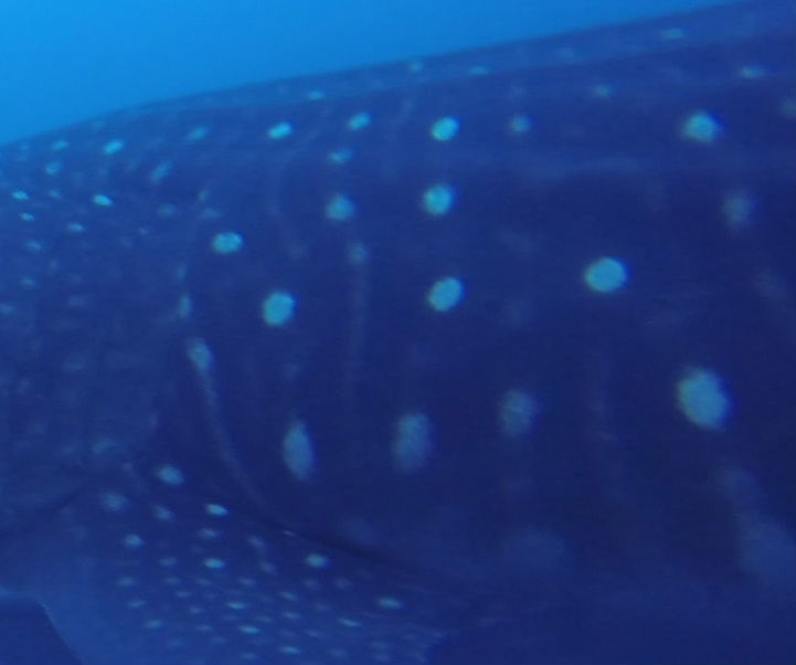 ad0da76b-9903-4471-8934-58ed34d38929