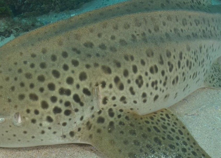 18aff22f-4c5d-42b4-8d87-b8911879a44f