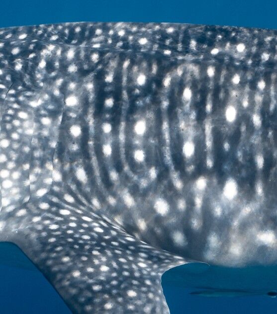 500ab122-27e3-40f1-b13e-aeb7f028019e