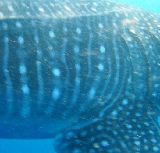 de0ece2f-c6b2-45bd-aaef-e65e95b4ecde