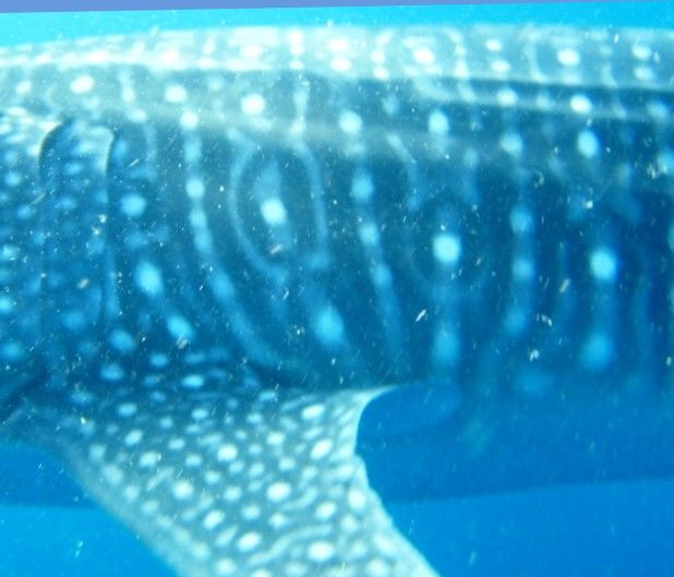 de0ece2f-c6b2-45bd-aaef-e65e95b4ecde