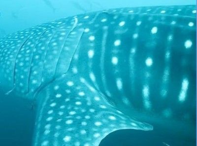 bd08cb3f-b989-4723-b759-ff185bdb5c9e