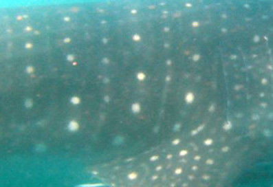 3b2bb85d-7e01-4fab-a1b7-bc77c03daad4