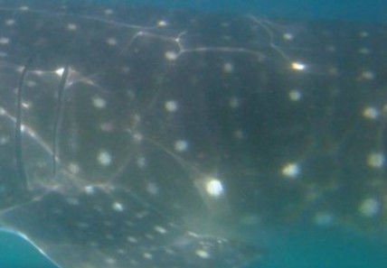 3b2bb85d-7e01-4fab-a1b7-bc77c03daad4