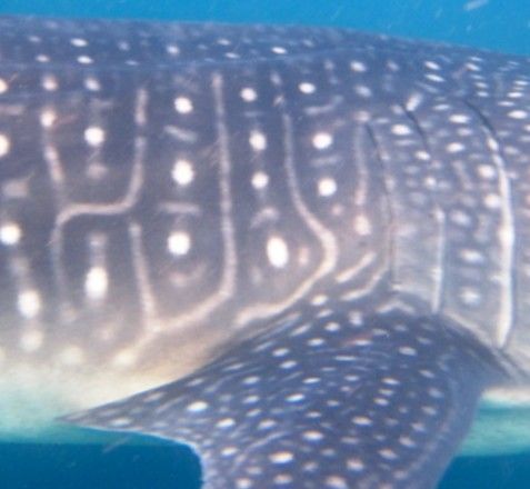 81e5a9fe-acc3-497b-aa46-c82b14e43f7f