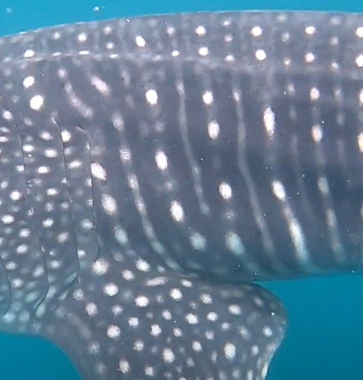 e173805d-d8e3-40f3-860d-f65851fde70d