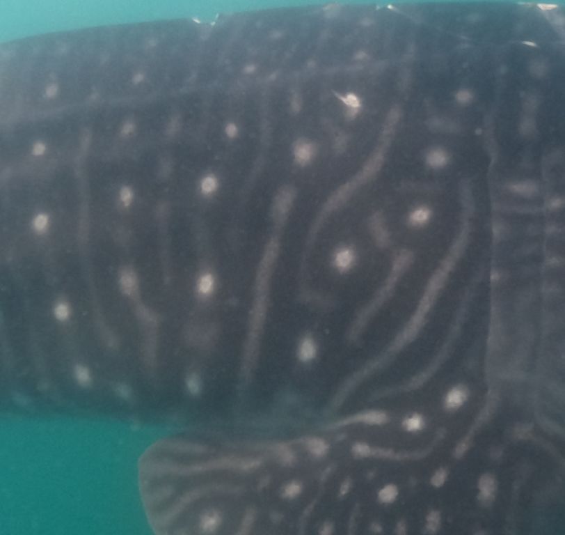 9ef64d28-6ec1-4948-bfc4-fa512bfc3854