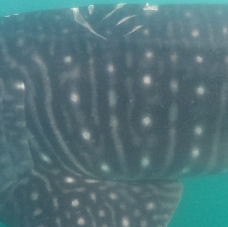 9ef64d28-6ec1-4948-bfc4-fa512bfc3854