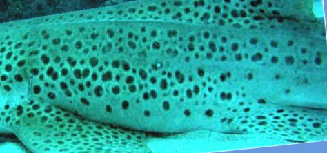 734ab117-4a63-4fe9-b87e-32f72312993e