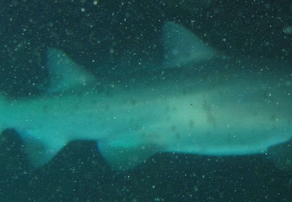 3263f6c0-7f28-42b0-b67e-3db4b4f6d852