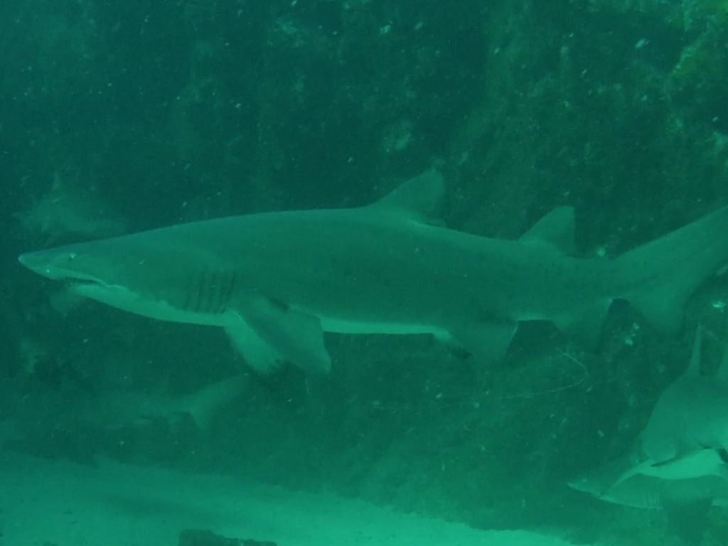 1bf5a849-e96b-4ec8-95c4-934df4f39667