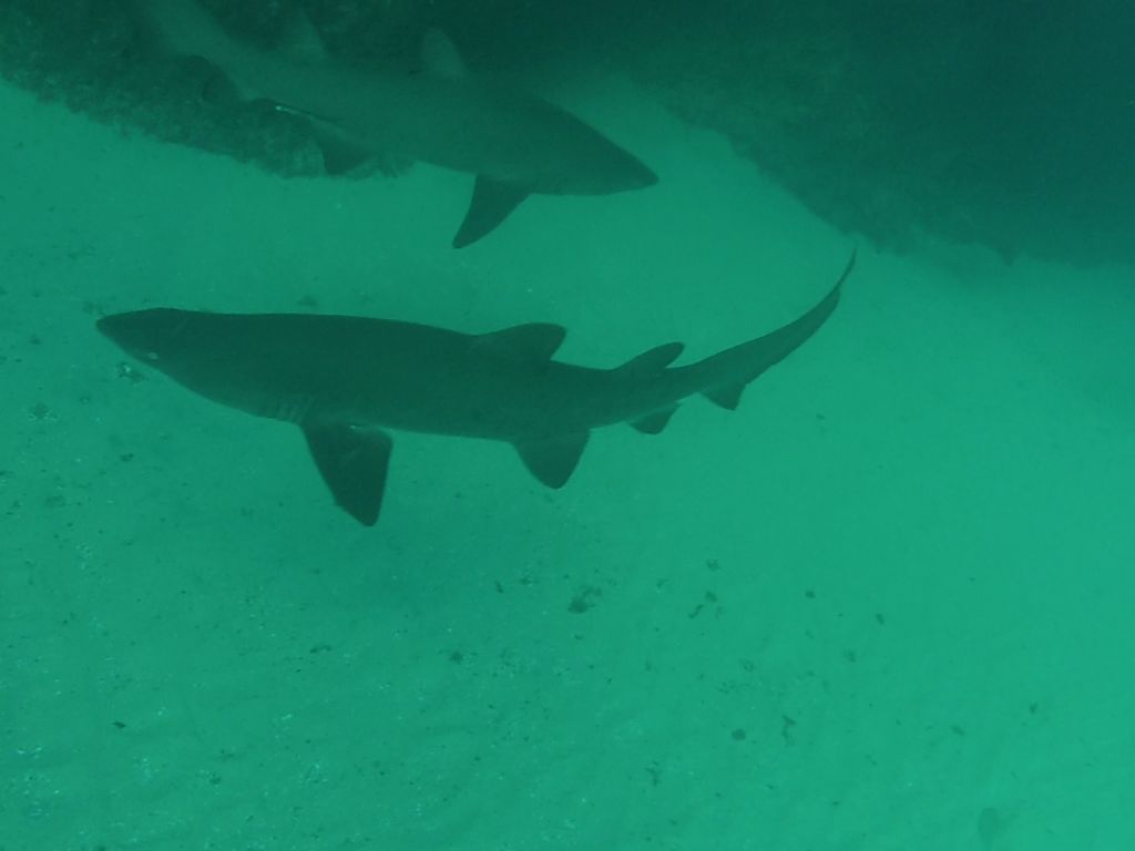 1bf5a849-e96b-4ec8-95c4-934df4f39667