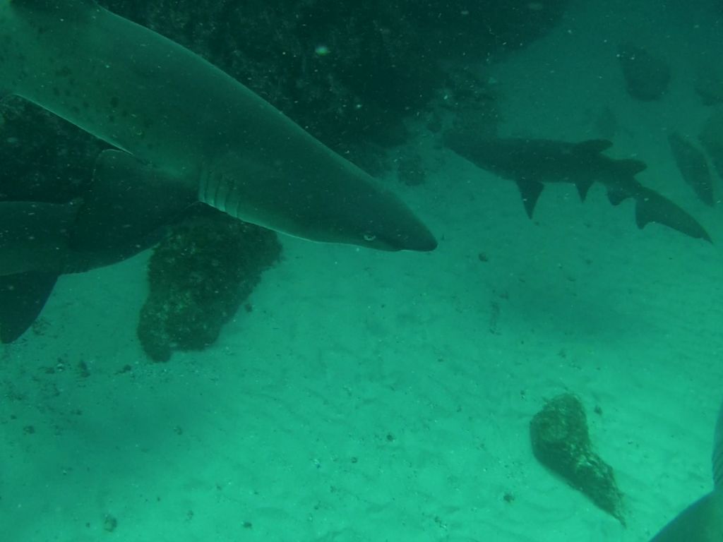 1bf5a849-e96b-4ec8-95c4-934df4f39667