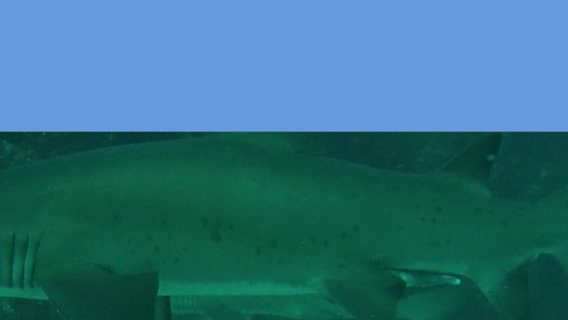 1bf5a849-e96b-4ec8-95c4-934df4f39667