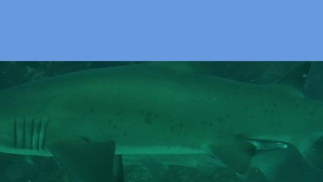 1bf5a849-e96b-4ec8-95c4-934df4f39667