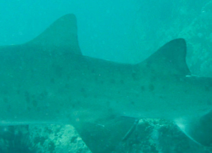 ff1cac0f-6066-4d29-849d-78d341cc5ec3