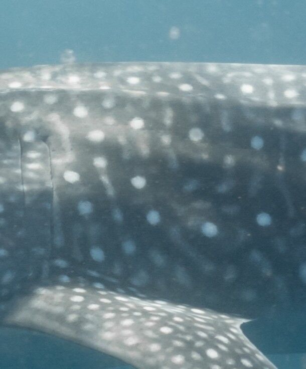 23634c5d-6450-4071-9bd2-814ff81e40a1