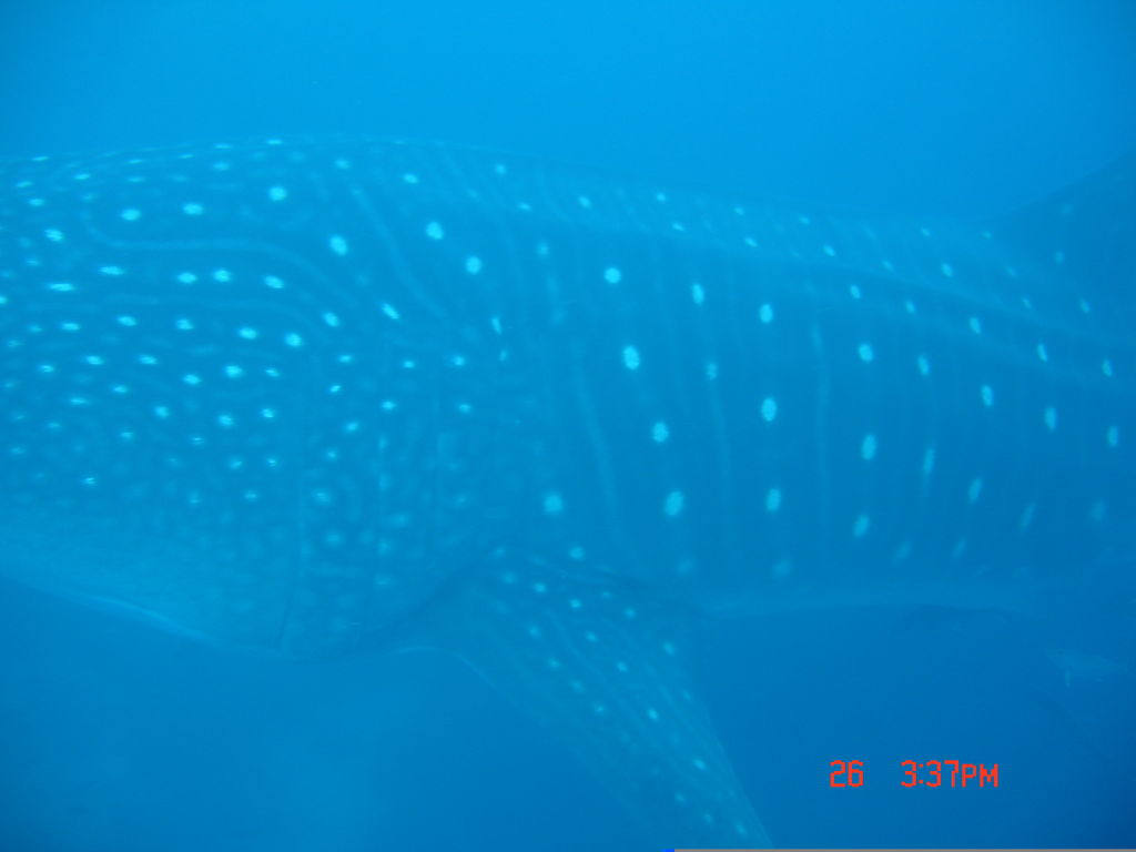 4d9a32cc-fe75-4a20-9171-648ee26a20e7