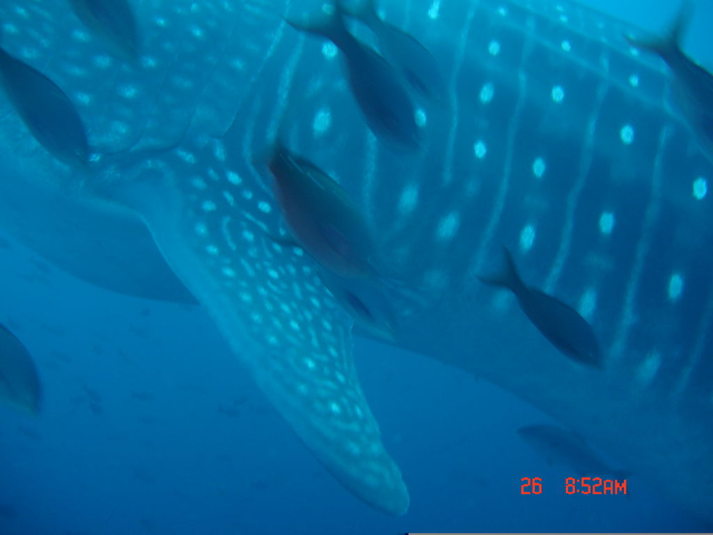 b7ea7ae0-1aec-4ba0-9b62-9edcd25f7f6c