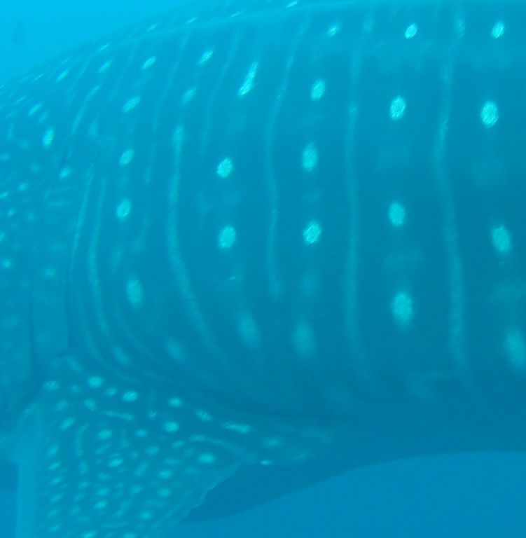 b7ea7ae0-1aec-4ba0-9b62-9edcd25f7f6c