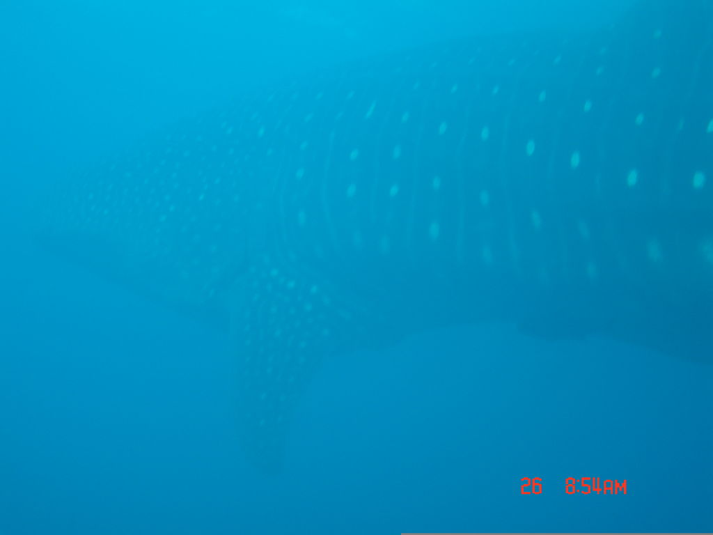 b7ea7ae0-1aec-4ba0-9b62-9edcd25f7f6c