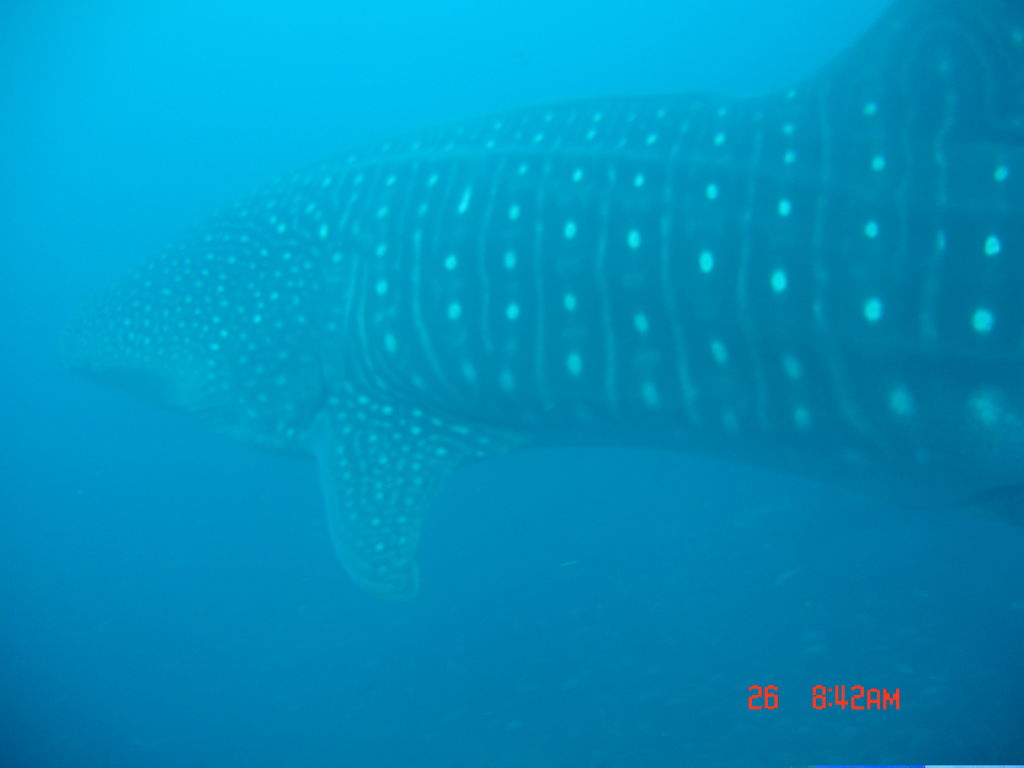 b7ea7ae0-1aec-4ba0-9b62-9edcd25f7f6c