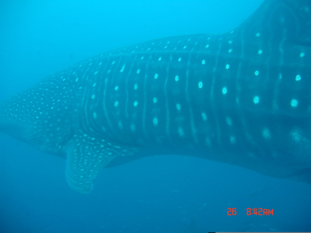 b7ea7ae0-1aec-4ba0-9b62-9edcd25f7f6c