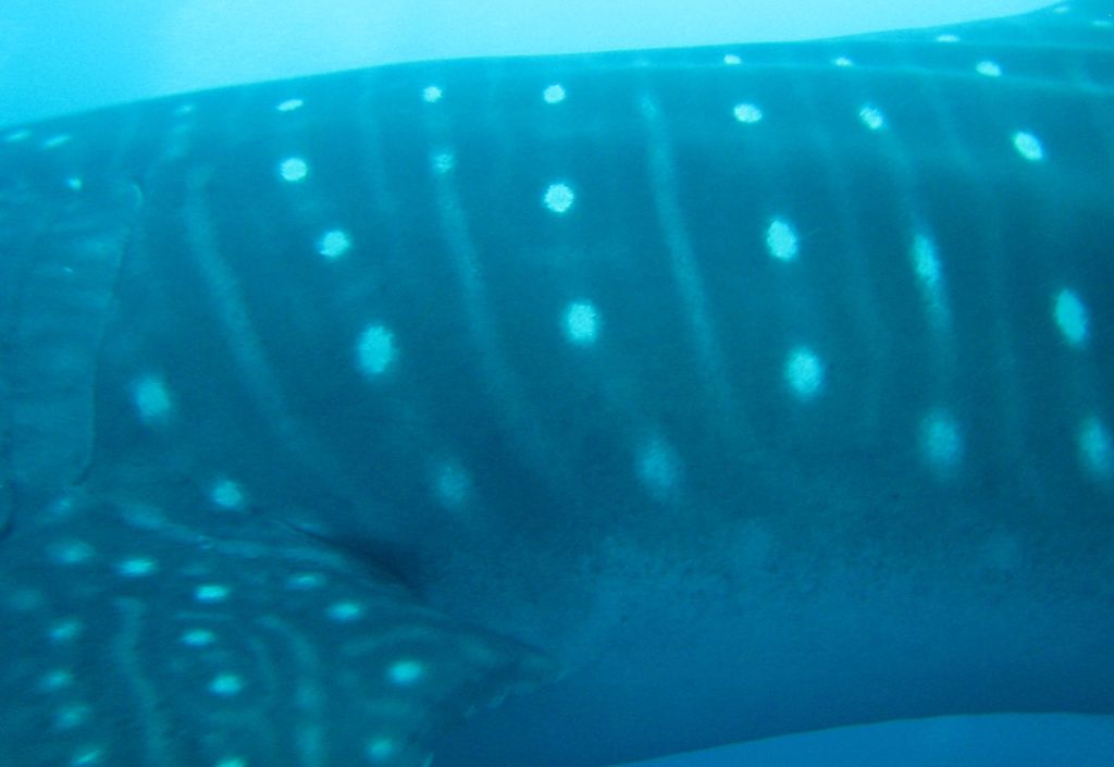 ea094870-dfb0-4b7e-9379-3f09036df7c0