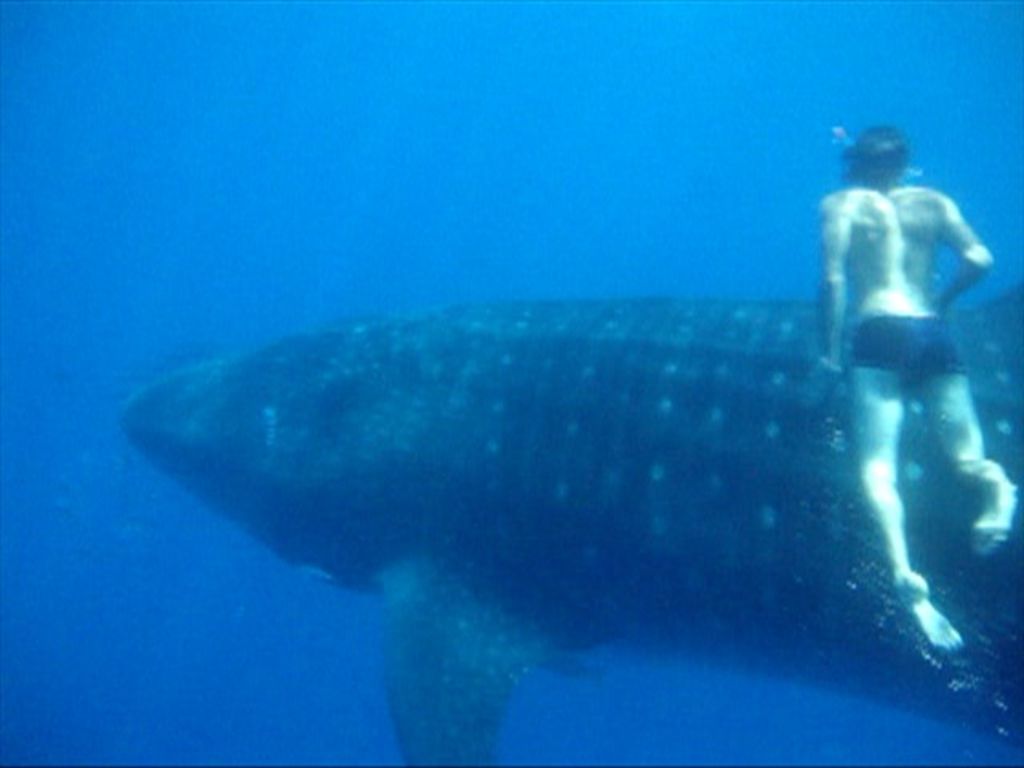 939a1d5c-ae9e-40e9-9543-b028b258c19c