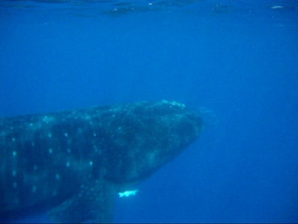 939a1d5c-ae9e-40e9-9543-b028b258c19c