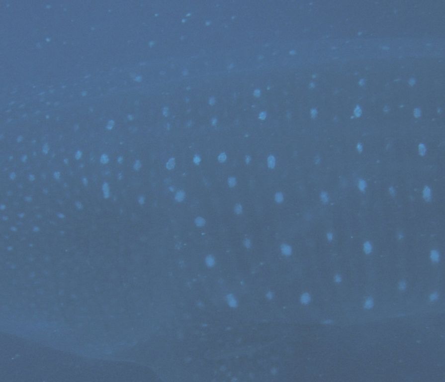 22ff3932-d035-43b1-9dc5-77d0ca5b324f