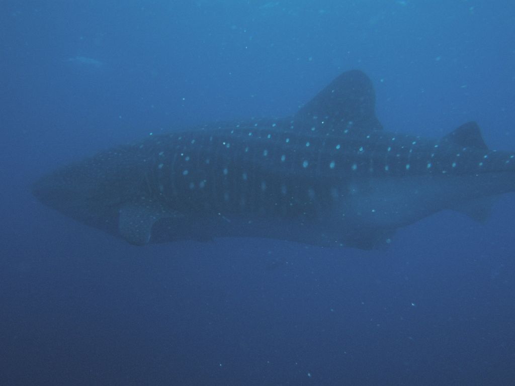 e210ac11-5120-4d41-aa73-ba723e5dffac