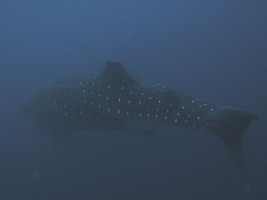 e210ac11-5120-4d41-aa73-ba723e5dffac