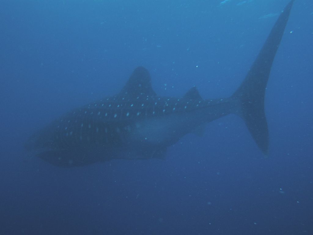 e210ac11-5120-4d41-aa73-ba723e5dffac