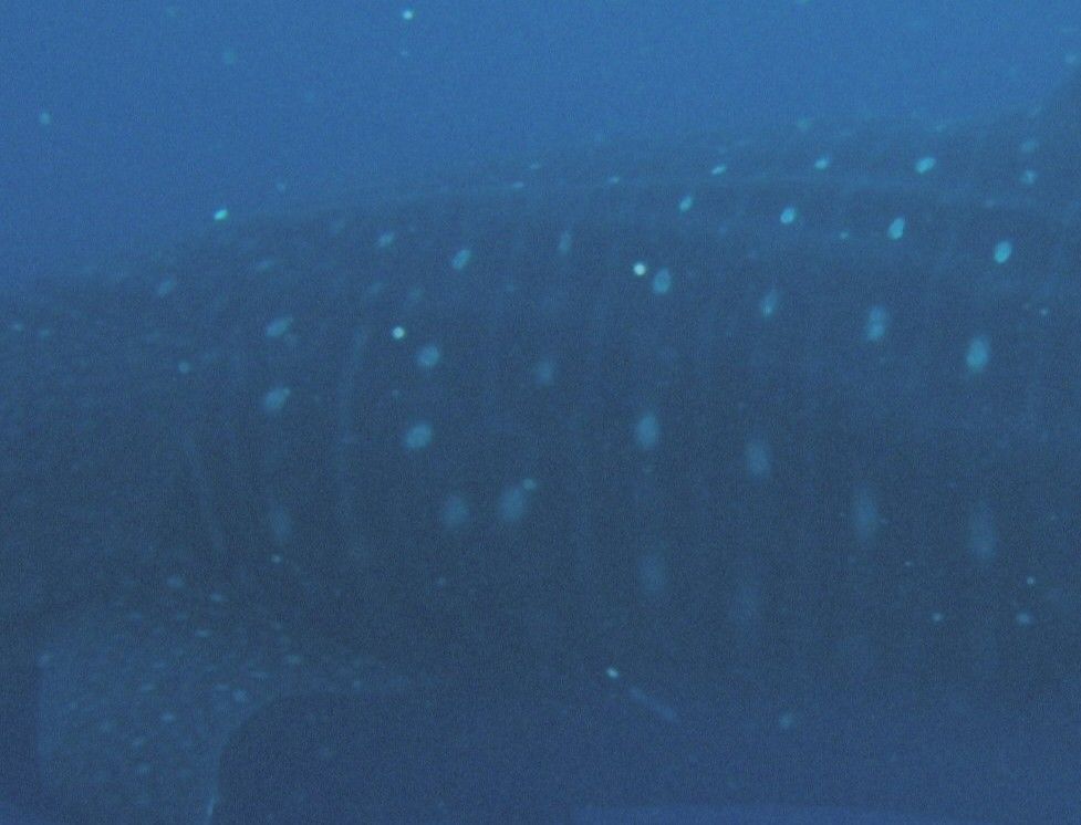 e210ac11-5120-4d41-aa73-ba723e5dffac