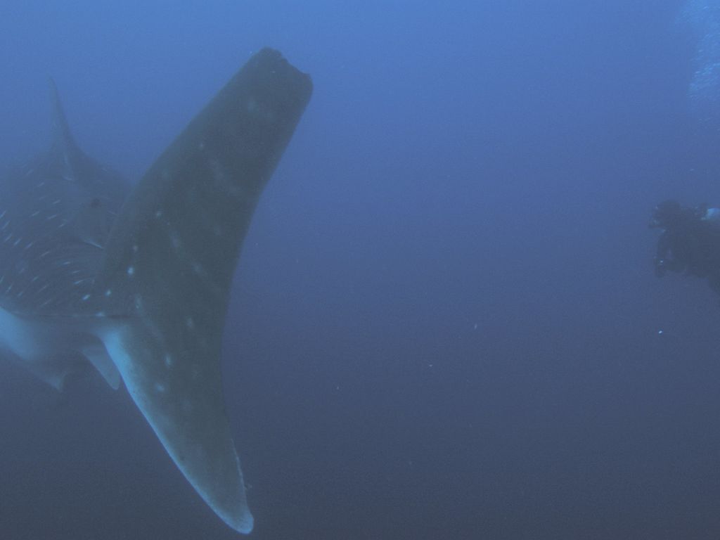 9d9bd742-926e-4b65-b6c9-1413b7feaf2b