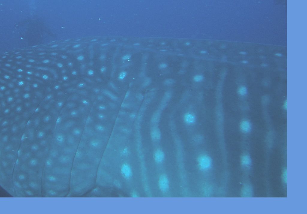 9d9bd742-926e-4b65-b6c9-1413b7feaf2b