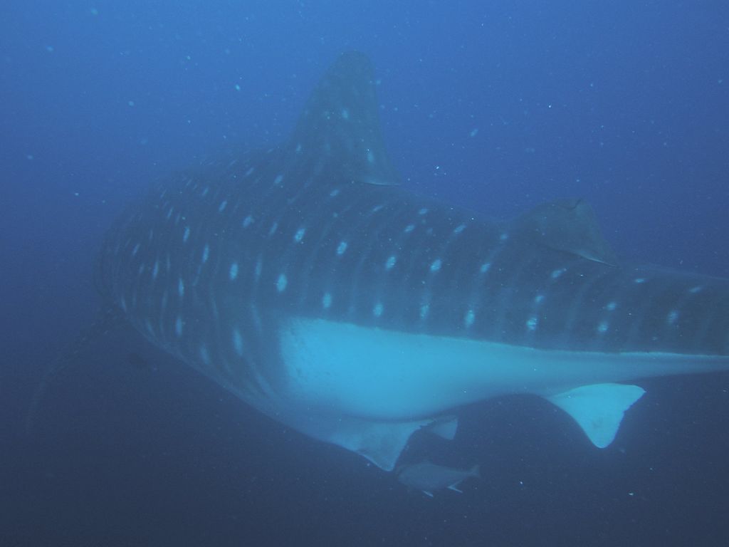 9d9bd742-926e-4b65-b6c9-1413b7feaf2b