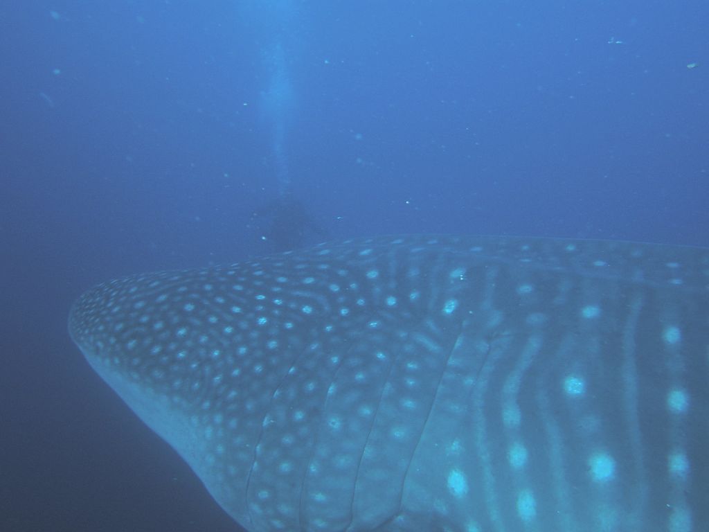 9d9bd742-926e-4b65-b6c9-1413b7feaf2b