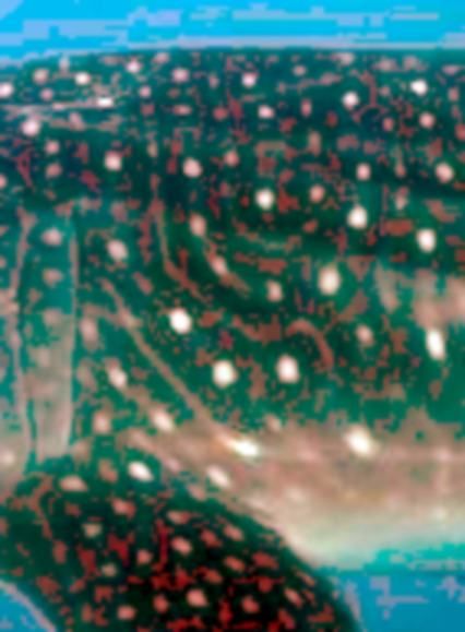 664c370c-d517-415b-815c-dd371232b478