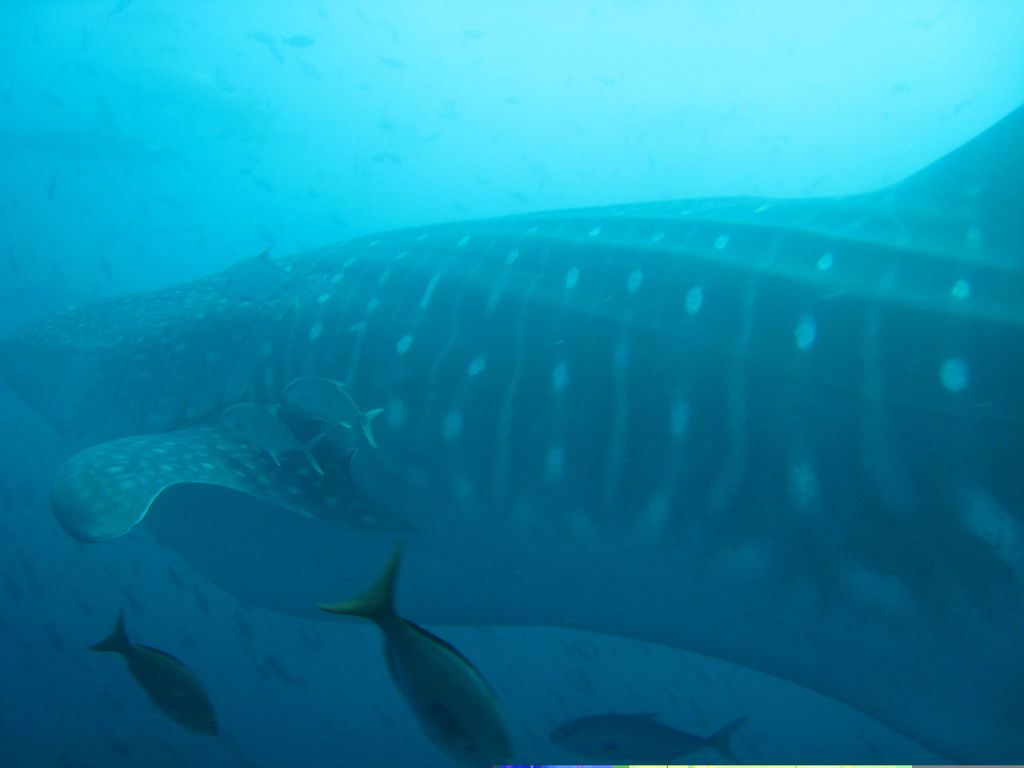 f39ec316-cfc9-4e1b-a812-0bd76901b7a9