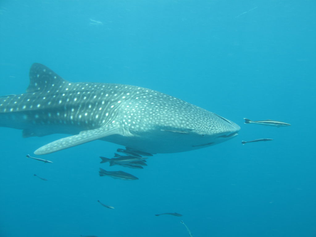 7e7ec554-1704-44b9-a0b6-049e7a9b3c20