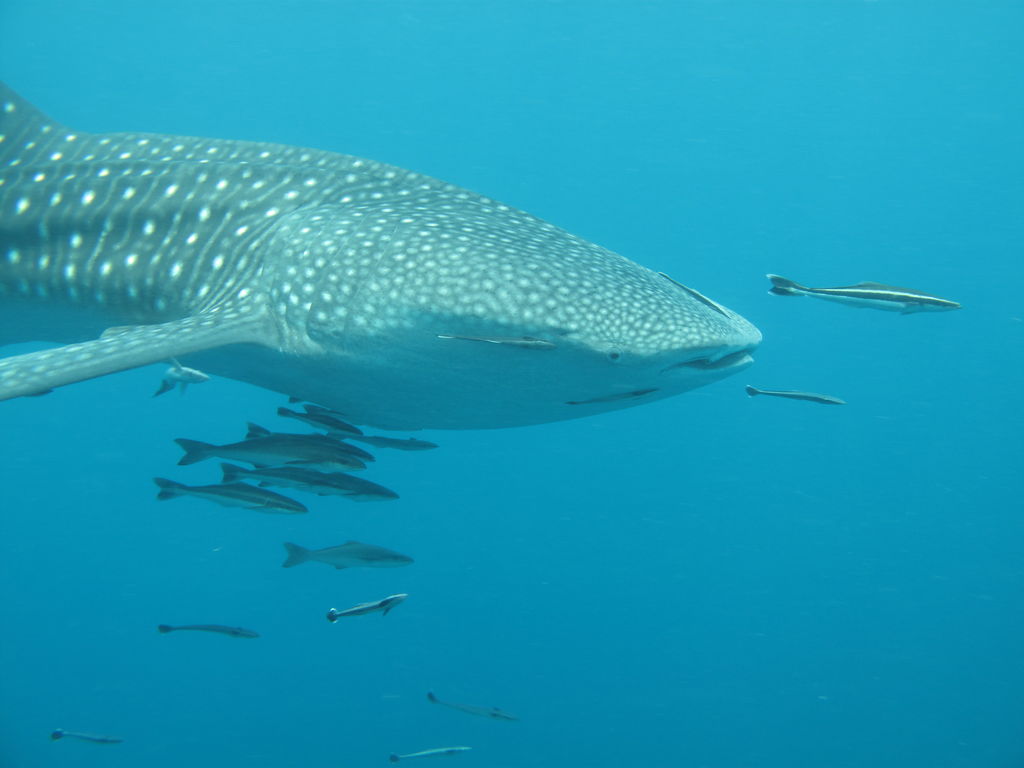 7e7ec554-1704-44b9-a0b6-049e7a9b3c20