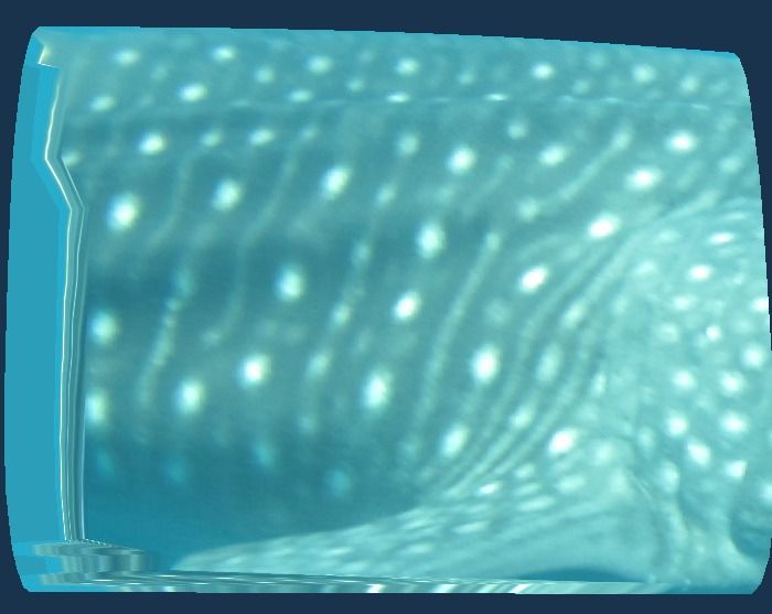 7e7ec554-1704-44b9-a0b6-049e7a9b3c20