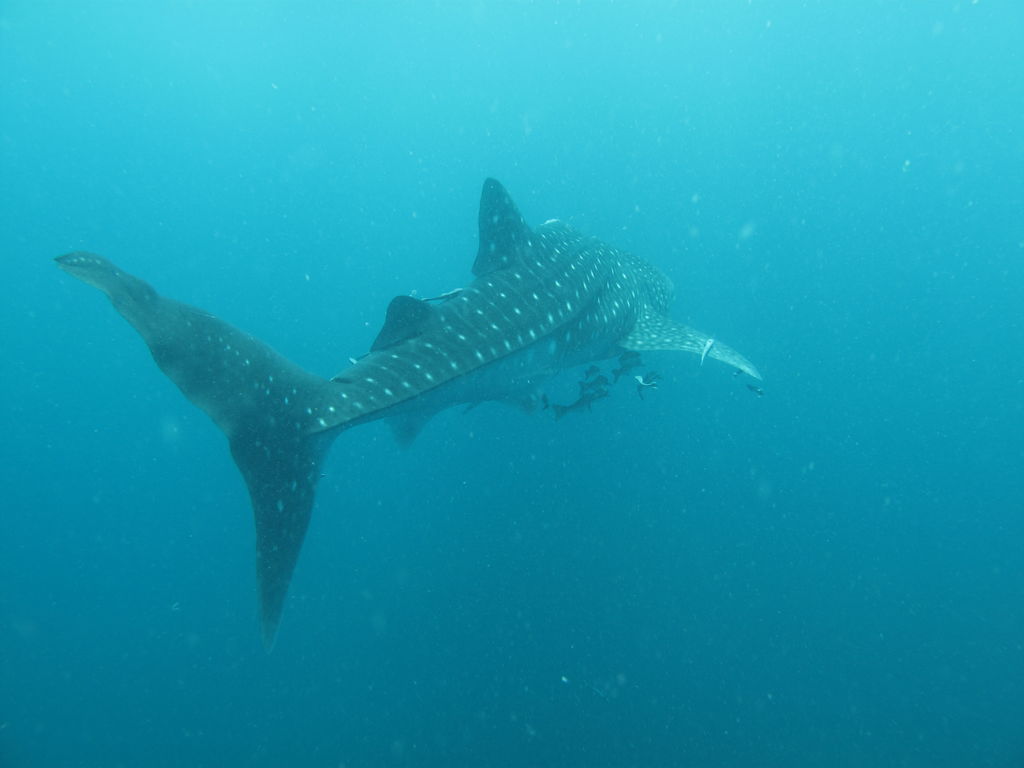 7e7ec554-1704-44b9-a0b6-049e7a9b3c20