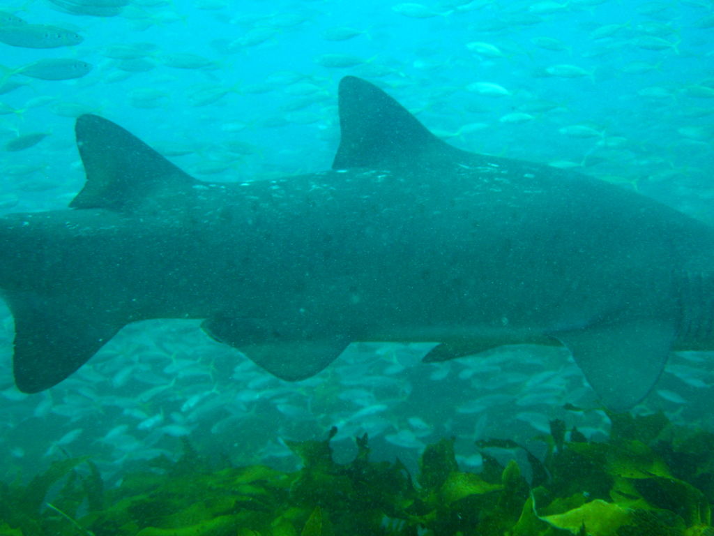 8e4db807-4c25-4a20-b1c2-f05954184c17