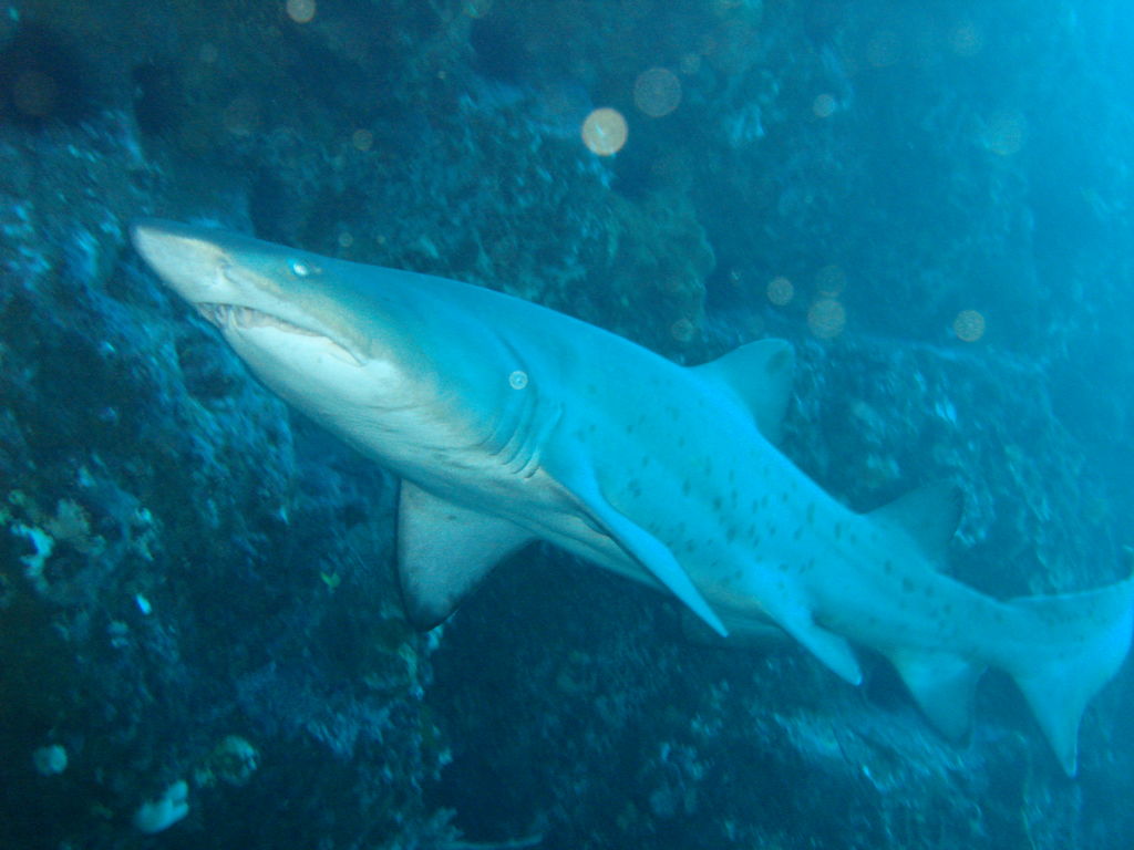 37de72db-9507-4170-924b-0392d0105513