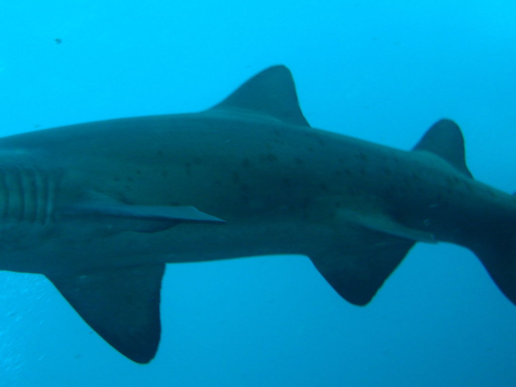 6c3201a7-8376-4018-ac78-7eeccbe094ad